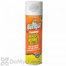 Bengal Foaming Wasp And Hornet Spray