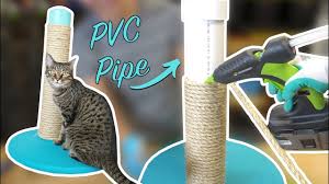 3.1 carpeted cat tree vs. Diy Cat Scratching Post Using Pvc Pipe Youtube