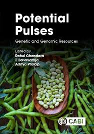 Image result for Macrotyloma daltonii