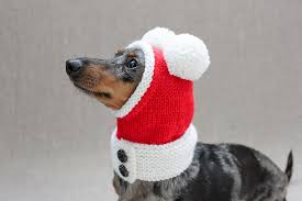 Merry christmas hat * bulk santa hats * pack of 10. Ravelry Dog Santa Hat Pattern By Valya Boutenko