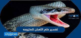 الحلم بالأخ الصغير هو دائما ما يشير إلى الفرح والخروج من الازمات والمصائب والفرج القريب. ØªÙØ³ÙŠØ± Ø³Ù… Ø§Ù„Ø§ÙØ¹Ù‰ ÙÙŠ Ø§Ù„Ù…Ù†Ø§Ù… Ø§Ù„Ø§Ø³ØªÙØ±Ø§Øº ÙˆØ±Ø¤ÙŠØ§ Ø§Ù„Ù‚ÙŠØ¡ ØªÙˆØ¨Ø© Ø£Ùˆ Ø±Ø¯ Ø´ÙŠØ¡ Ø£Ø®Ø°Ù‡ Ù„ØºÙŠØ±Ù‡ ÙØ¥Ù† Ø±Ø£Ù‰ Ø£Ù† Ù‡ Ø£Ù„Ù‚Ù‰ Ø§Ù„Ø°ÙŠ Ø®Ø±Ø¬