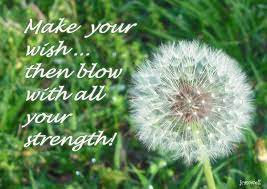 Making Wishes On Dandelions Make A Wish Childhood Memories Wish