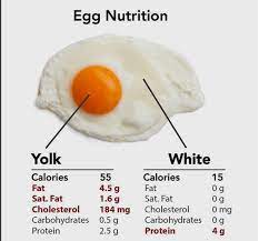 But as a holistic solution whole eggs are also rich in amino acids which support in bodybuilding. Pin By Shamsa Alfalasi On Protein Diets Egg Nutrition Nutrition Recipes Nutrition