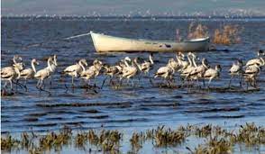 birds paradise national park manyas kus cenneti balikesir geziler antalya cennet