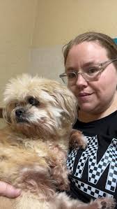 Coping with loss of beloved pet dog