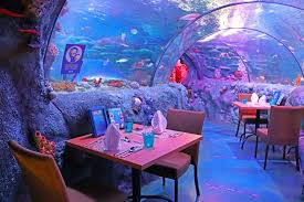 See more of the encounter cafe on facebook. Underwater Dining Experience Sea Life Legoland Malaysia Resort