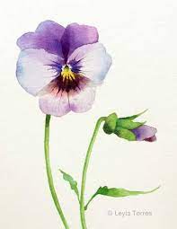 Image Result For Watercolor Pansies Floral Watercolor Watercolor Flowers Paintings Watercolor Flowers