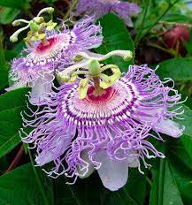 Pin On Amazing World
