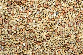 Image result for Macrotyloma