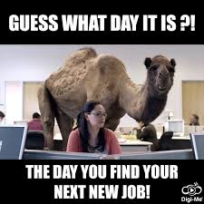 Need A New Job Meme