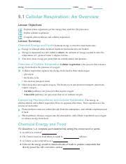 The 64% of the energy in glucose. 12 The Energy Flow In Photosynthesis And Cellular Respiration Occurs In The Course Hero