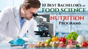 10 Best Bachelor S In Food Science And Nutrition Programs Successful Student