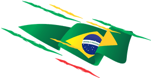 A bandeira é composta pela cruz de brasília, ao centro, simboliza a herança indígena e a força que emana do centro em todas as direções. Bandeira Do Brasil Logo Download Logo Icon Png Svg