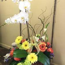 Check spelling or type a new query. Rachel S Flower Shop 36 Photos 22 Reviews Florists 2486 Poplar Ave Memphis Tn Phone Number Yelp