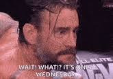 Only Wednesday GIFs