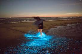 Nedbox is een samenwerking tussen verschillende organisaties, met de ku leuven als promotor. Zeevonk On Twitter Hoek Van Holland Afgelopen Nacht Foto Van Peterdekrom Zeevonk