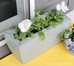 Shop our certified dutch bulbs today! Cold Tolerant Annuals For Early Spring Planting Satori Design For Living