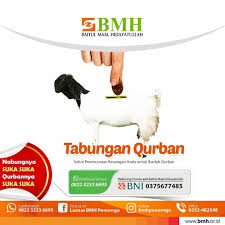 Kunci jawaban test bahasa inggris di jobstreet 3 mar 2019. Contoh Brosur Tabungan Qurban Masnurul