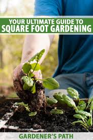 We did not find results for: Your Ultimate Guide To Square Foot Gardening Gardener S Path