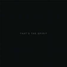 In the covenant sanctums achievements category. Bring Me The Horizon That S The Spirit 1 Lp Und 1 Cd Jpc