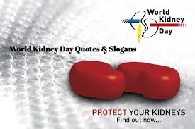 They were also more likely to die of their. World Kidney Day 2020 Quotes And Slogan In Hindi And English