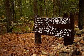 I Went To The Woods Because Walden 56 The Curious People