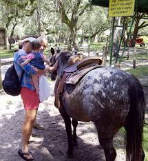 Especially when you have a host of animals to teach you all about farm life! Giveaway Green Meadows Petting Farm 25th Birthday Party