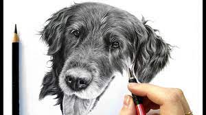 Not too much, you have more colors to go. Drawing Tutorial How To Draw Realistic Black Fur Graphite And Colored Pencil Leontine Van Vliet Youtube