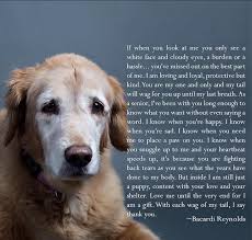 Senior Dog Quote Senior Dogs Quotes Dog Poems Dog Quotes