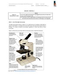 Maybe you would like to learn more about one of these? Alternate Grade 11 Ccbbiology11