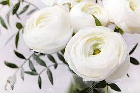 Image Result For White Ranunculus Ranunculus Flowers White Ranunculus Buttercup Flower