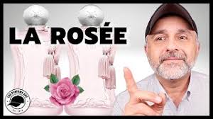 Delina La Rose Sample 2025