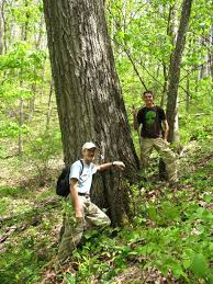 Photos: Nantahala National Forest