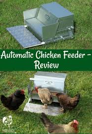 Check spelling or type a new query. A Review Of The Best Automatic Chicken Feeder On The Market