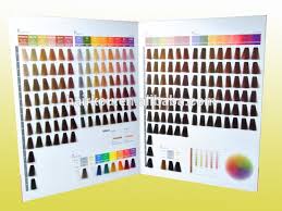 China Hair Color Chart Wholesale