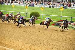 2013 Preakness Stakes Wikipedia