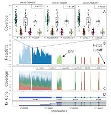 Derfinder Identify Visualize And Interpret Differentially Expressed Regions Rna Seq Blog Rna Sequencing Visual Expressions
