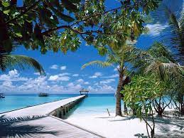 Tropical Beach Beaches In The World Beach Wallpaper Beach Paradise