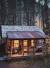 Cabin In The Mountains
