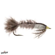 Image result for Cyphia brummittii