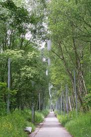 le parc du louvre lens comme une epure la terre est un jardin jardins paysagiste louvre