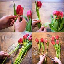 CÁCH GIỮ HOA TƯƠI LÂU – Hoa Tươi Tường An