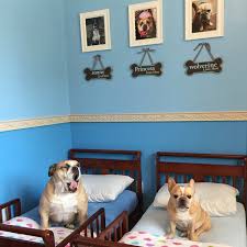 Dog house diy laundry room diy dog rooms dog bath home dog stairs dog washing station animal room laundry mud room. 24 Ideas For Designing Organizing A Dog Room Extra Space Storage