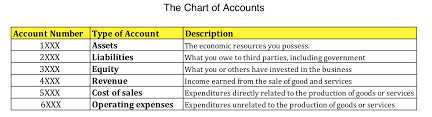 How The Chart Of Accounts Can Help You And Why You Should Care