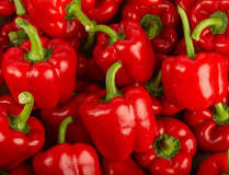 Le poivron rouge, tout ce qu'il faut savoir - Mon Marché