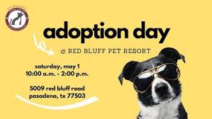Maybe you would like to learn more about one of these? Adoption Day Red Bluff Pet Resort Galena Park 1 May 2021