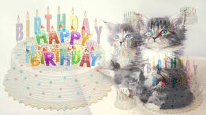 Happy Birthday Song In Child Voice With Images Of Cats And Cakes Youtube
