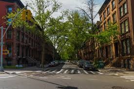We acknowledge and pay our respects to the traditional custodians of these lands. Best Things To Do In Fort Greene In Brooklyn Local S Guide Your Brooklyn Guide