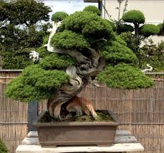 I was inspired by the the bonsai creations of takanori aiba so i made a stylised bonsai treehouse modeled in maya, sculpted in zbrush, textured in substance painter… Pc Treehouse Build 1 3 Terraria Community Forums