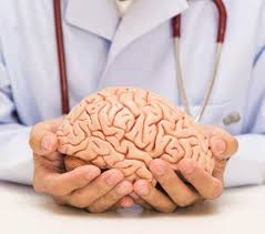 A stroke happens when the blood supply to part of your brain is suddenly interrupted. Left Brain Vs Right Brain Stroke Cbchealth De